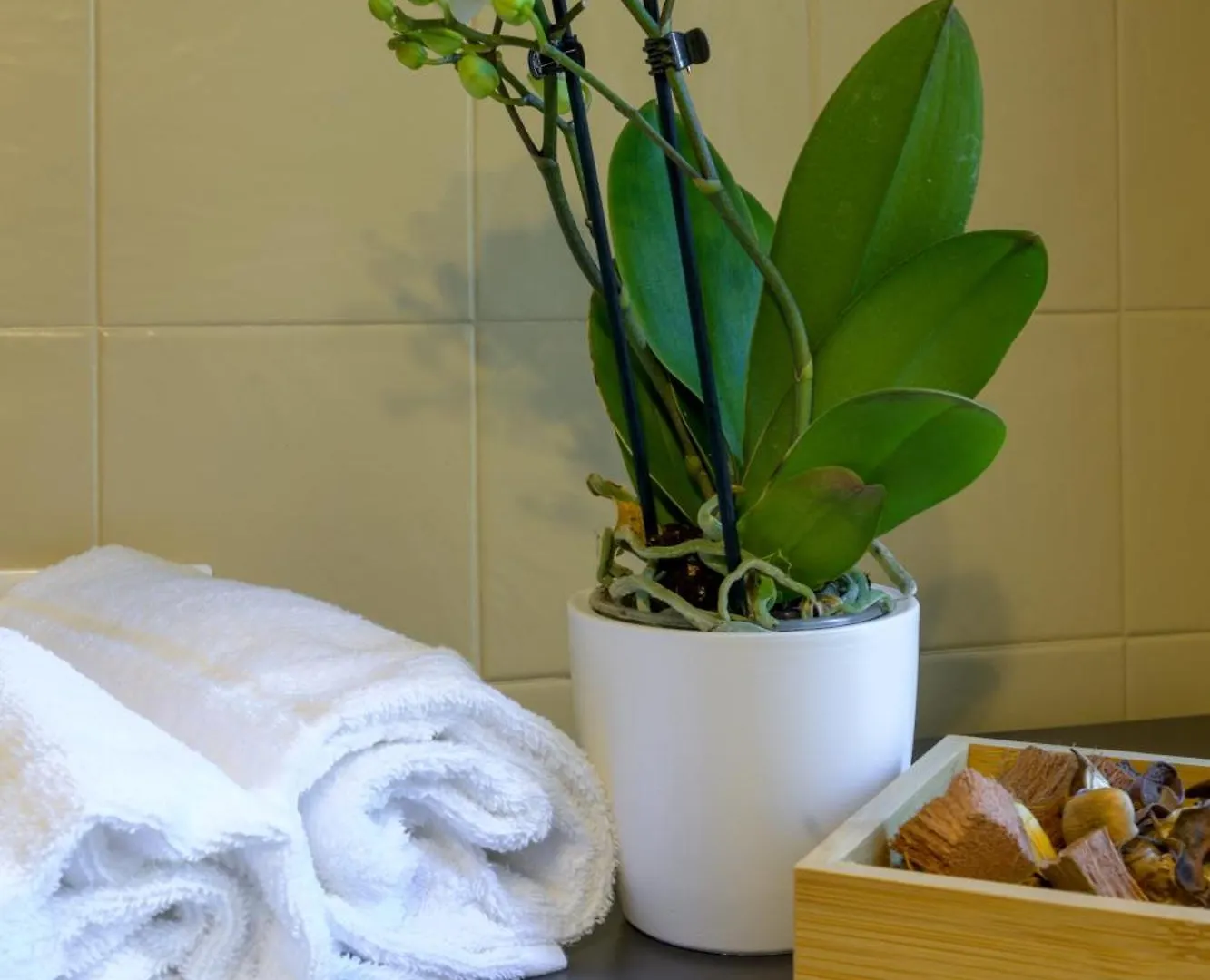 Ca Zianini Apartment Venice